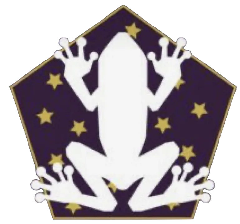 Image posted by the member