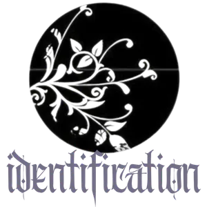 Image posted by the member