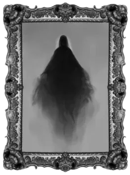 Image posted by the member