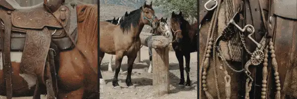 Image posted by the member