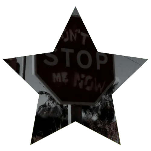 Image posted by the member