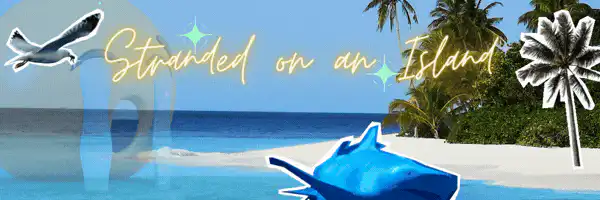 Image posted by the member