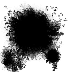Image posted by the member