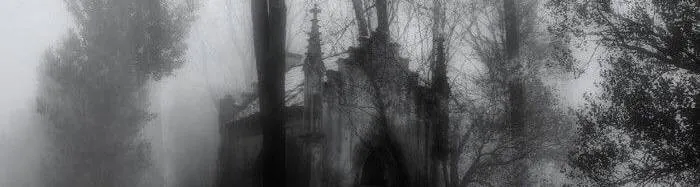 Image posted by the member
