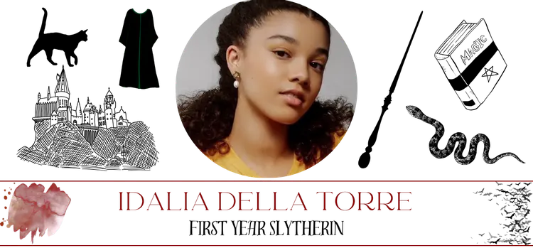 Idalia first year banner