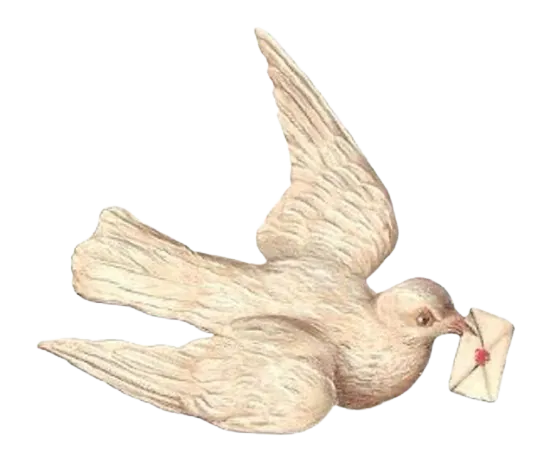 Dove