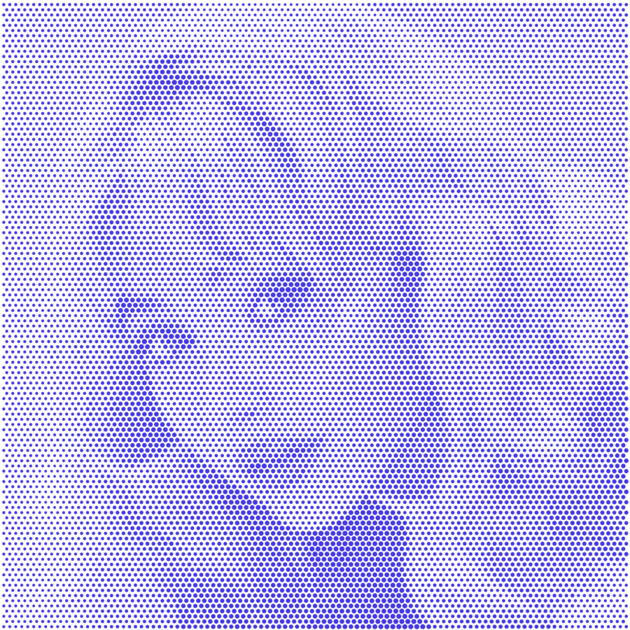 Image posted by the member