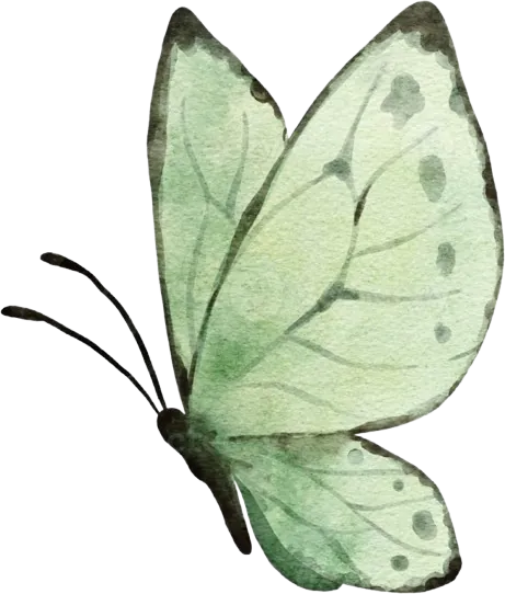 Image posted by the member