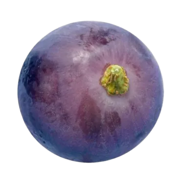 Image posted by the member