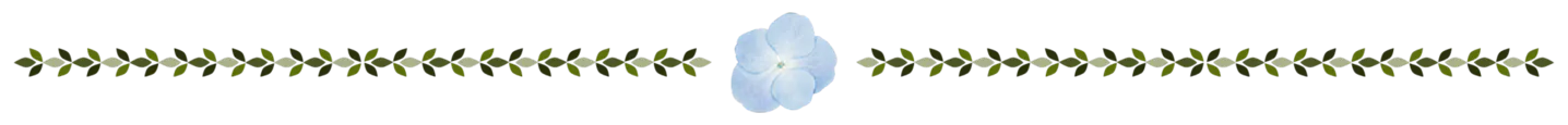 Image posted by the member